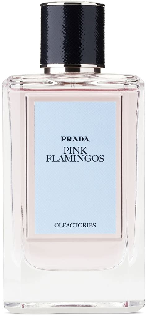 prada pink rose perfume|prada pink flamingos.